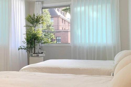 1 dormitorio con 2 camas y una ventana con 2 macetas. en Soft Seoul Hongdae, en Seúl