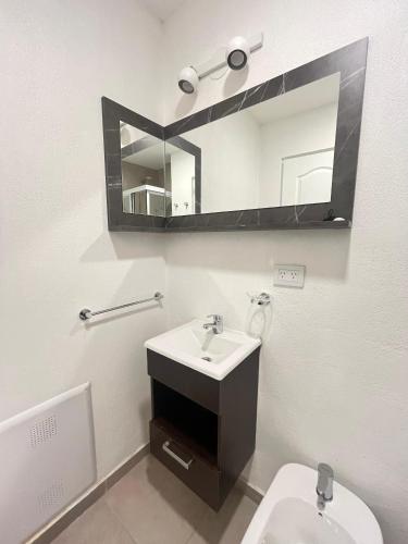 a white bathroom with a sink and a mirror at Apart Goleta Florencia in Ushuaia