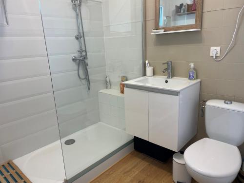 a bathroom with a shower and a toilet and a sink at La Sauveterre in Mours-Saint-EusÃ¨be