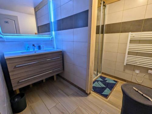 a bathroom with a sink and a shower at Spacieux T3 terrasse en rez coeur de station in Bernex