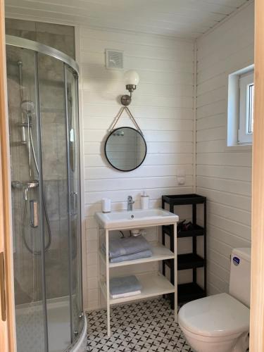 a bathroom with a shower and a sink and a toilet at Domki Podniebo in Jarosławiec