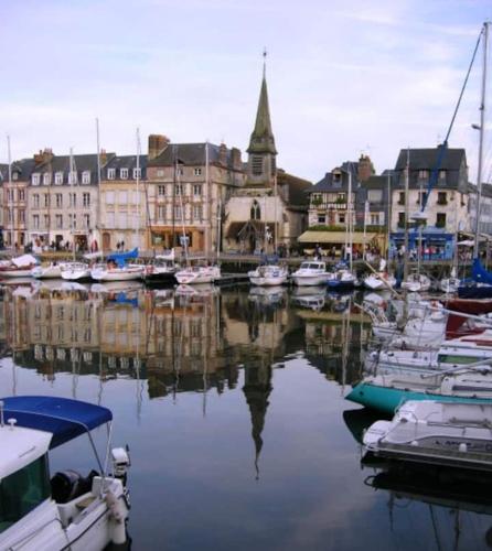 un groupe de bateaux est amarré dans un port de plaisance dans l'établissement Rouge Pivoine, Gîte du Manoir de La Porte, à Les Authieux-sur-Calonne