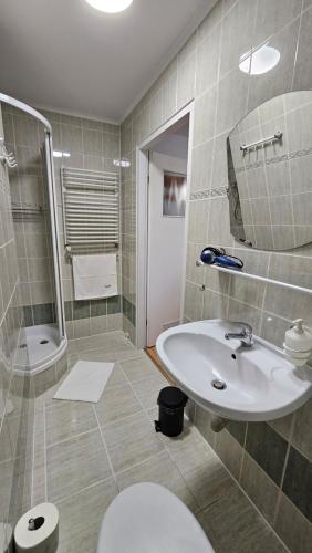 uma casa de banho com um lavatório, um WC e um chuveiro em SIEDLISKO HARENDA BIESZCZADY em Czarna