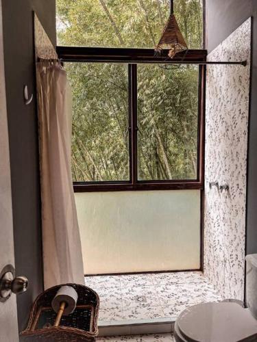 a bathroom with a shower with a window and a toilet at Intrepido Glamping in Chinchiná