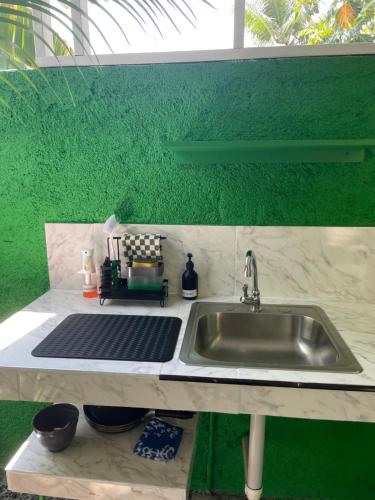 a kitchen counter with a sink and a green wall at Centrally Located Room - 5 in Port Antonio