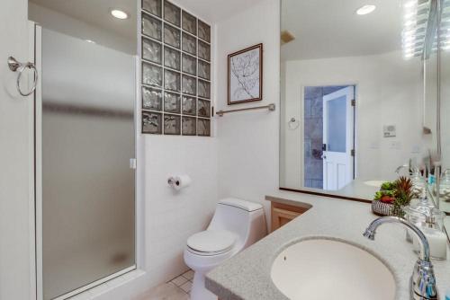 a bathroom with a toilet and a shower and a sink at Ocean & Bay Views Pool & Hot Tub Rooftop Patio in San Diego