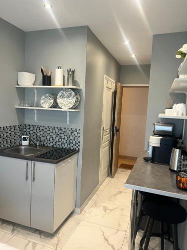 une cuisine avec un évier et un plan de travail dans l'établissement Charming Studio 16, à Paris