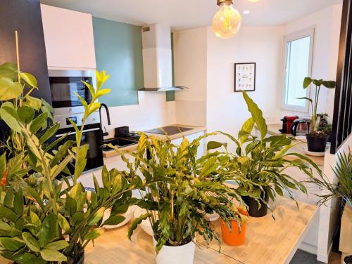 Photo de la galerie de l'établissement Cosy spacieux appartement balcon - Ourcq Paris 19, à Paris