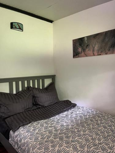 a bedroom with a bed and a painting on the wall at Datscha am See in Worms