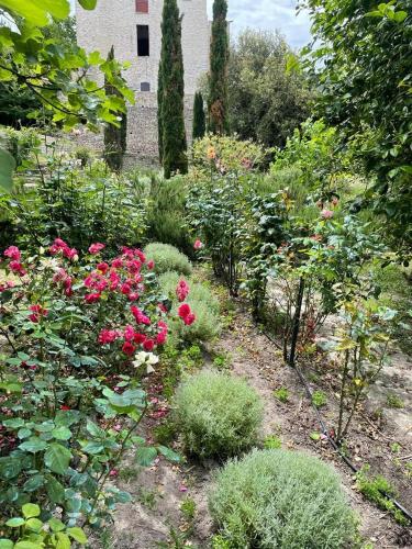 a garden with pink roses and other plants at Domaine du Couvent de Saint Julien in Bonifacio