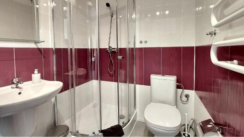 a bathroom with a shower and a toilet and a sink at Rezydencja Ostoja in Stronie Śląskie