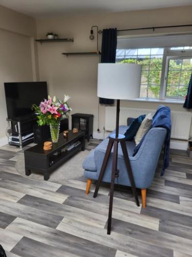 sala de estar con sofá azul y TV en Lissadell Lodge en Wexford