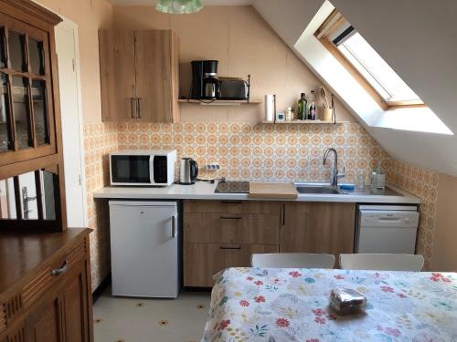 une petite cuisine avec un évier et un micro-ondes dans l'établissement Vacances à Port-Louis, à Port-Louis