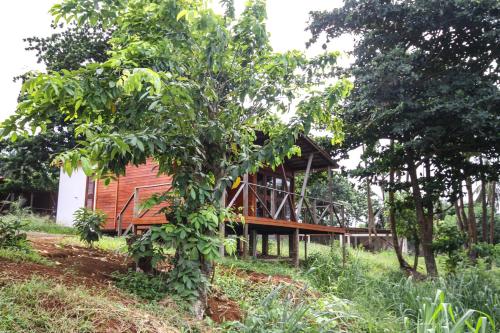 a wooden house in the middle of a forest at Sonho Non in Santana