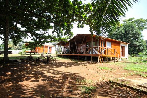 a small house with a palm tree in front of it at Sonho Non in Santana