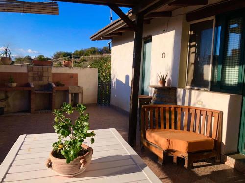 un patio con panchina e pianta in vaso di Casa Vacanza L'ulivo a Paterno