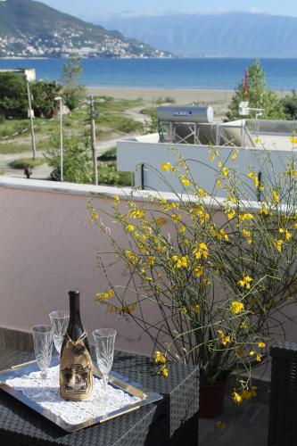 Příroda nedaleko penzionu