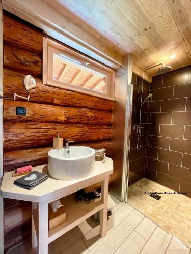 une salle de bain avec un lavabo et une douche dans l'établissement Pialous:Chalet en rondins avec Espace Détente, à La Chapelle-dʼAurec