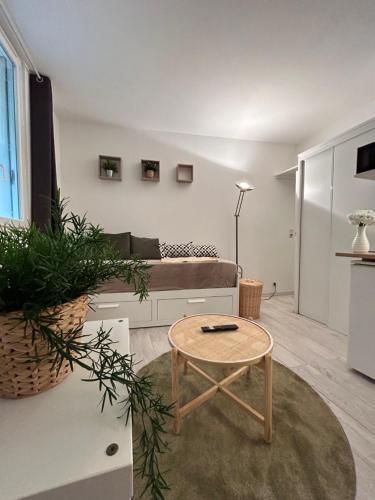 Au Charme des Carmes - T1 sur cour - Métro A & B