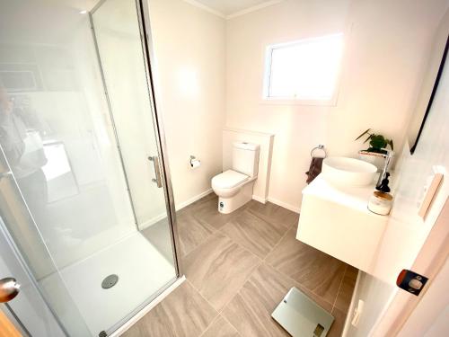 a bathroom with a shower and a toilet at 2 Mile Bay Guesthouse in Taupo