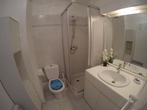 ein Bad mit einer Dusche, einem Waschbecken und einem WC in der Unterkunft SANARY beau studio avec parking in Sanary-sur-Mer