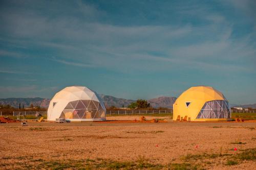 two domed tents in a field with mountains in the background at The Wine Dome in Willcox