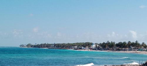 a view of a beach with palm trees and the ocean at Posada MCKELLER in San Luis
