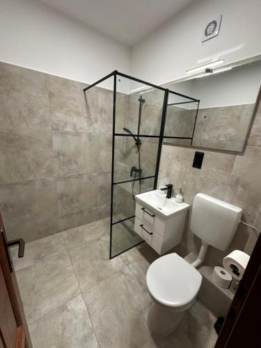 a bathroom with a toilet and a shower and a sink at Diamant Apartmanház in Eger