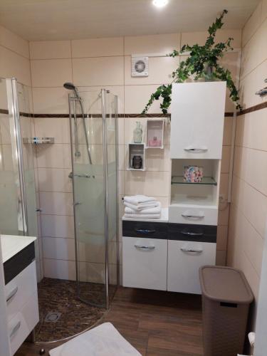 een badkamer met een glazen douche en een wastafel bij Wohnung mit Charme in Pinsdorf in Pinsdorf