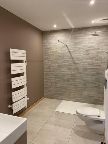 une salle de bain avec une douche, des toilettes et un lavabo dans l'établissement Gîte - Le cocon de la Marquise, à Wattwiller