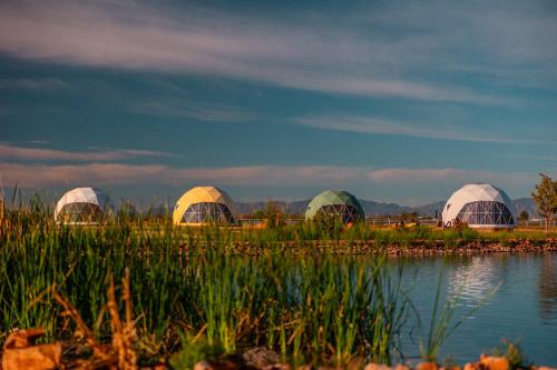 a group of domes in a field next to a body of water at The Hive in Willcox