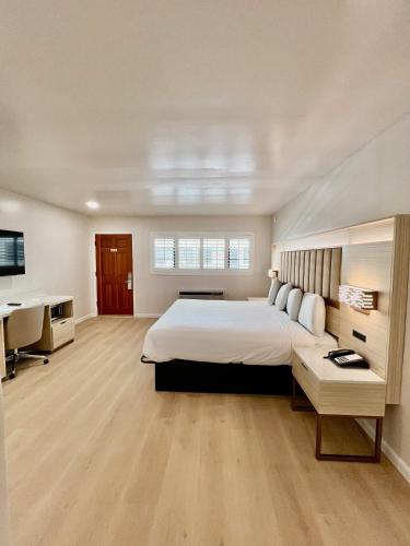 - une grande chambre avec un grand lit et un bureau dans l'établissement Nob Hill Motor Inn -Newly Updated Rooms!, à San Francisco