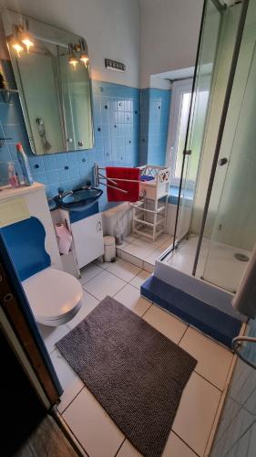 a bathroom with a shower and a toilet and a sink at Hâvre de paix in Broons