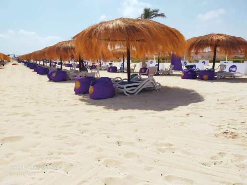 a row of chairs and umbrellas on a beach at Amwaj North coast chalet in 1st floor families only in El Alamein