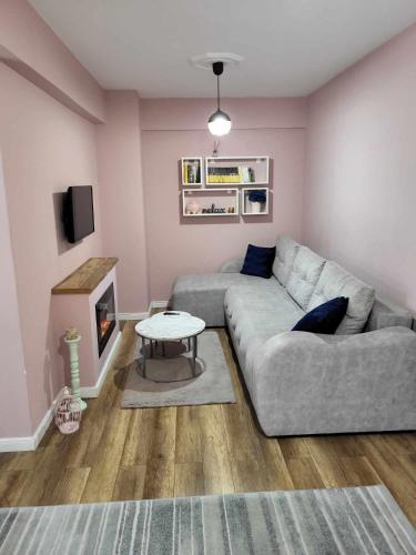 a living room with a couch and a fireplace at Pink Galaxy in Baciu