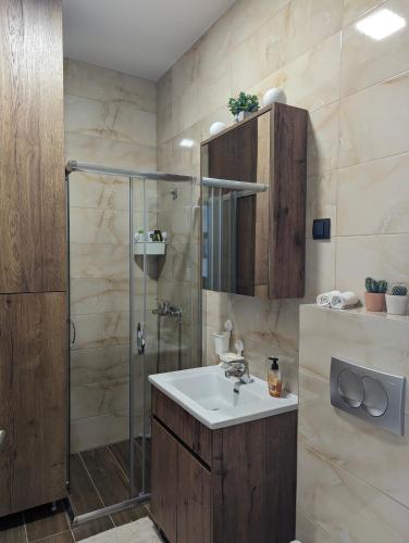 a bathroom with a sink and a shower at 2 Sweet Renew in Rogača