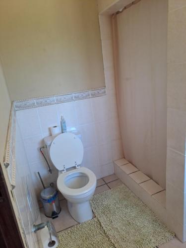a bathroom with a toilet and a shower at Venha Juntos Guest Homes in Miramar