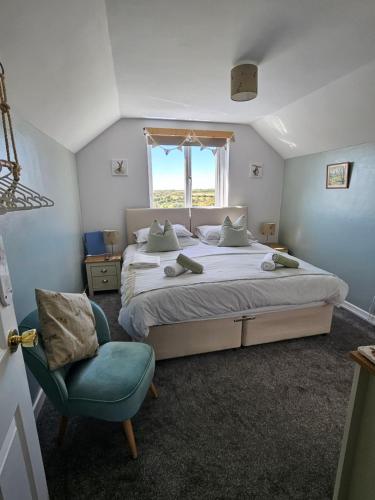 a bedroom with a large bed and a blue chair at Four Winds B&B StDavids in St. Davids