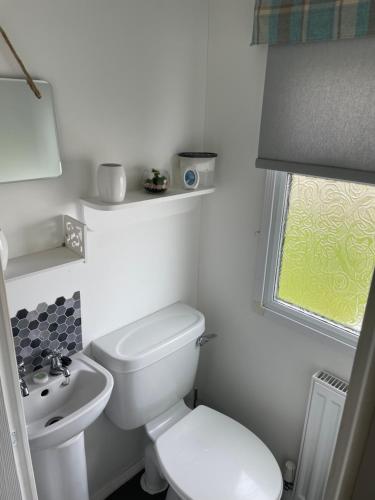 a small bathroom with a toilet and a sink at JSNHolidays@CraigTara in Ayr