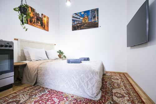 een slaapkamer met een bed, een televisie en een tapijt bij BudapeStayz - Bacso Apartments in Boedapest