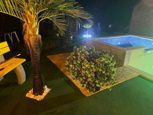 a swimming pool with a palm tree next to a plant at Vila Sarajlić in Srebrenik