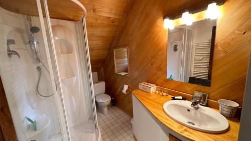 une salle de bain avec un lavabo, une douche et des toilettes dans l'établissement La Baudonnière, à Les Chambres