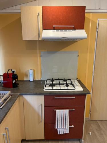 Il comprend une cuisine équipée d'une cuisinière et d'un four micro-ondes. dans l'établissement La Teranga, à La Roque-dʼAnthéron