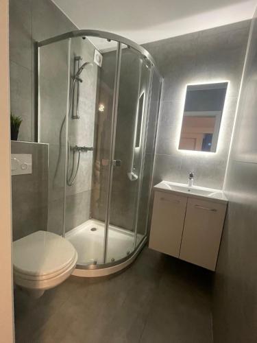 a bathroom with a shower and a toilet and a sink at Ferienwohnung Panoramablick in Sinsheim