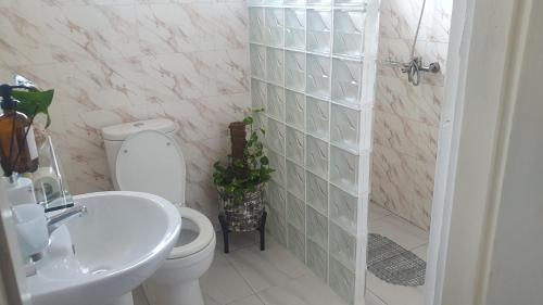 uma casa de banho com um WC e um lavatório em Impeccable 1-Bed House in Kweiman Station danfa em Danfa