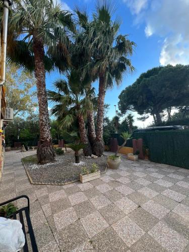 a patio with palm trees in a yard at Villa Azzurra Fronte Mare in Capitana