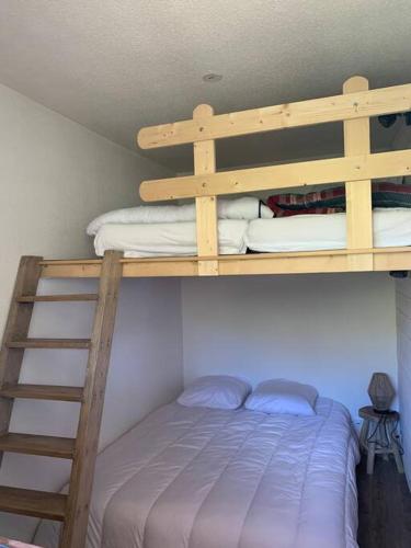 Ce lit superposé se trouve dans un dortoir avec une échelle. dans l'établissement Joli appartement 6 personnes La Toussuire, à La Toussuire