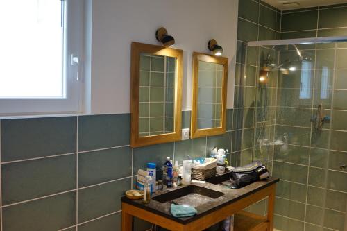 bagno con lavandino e doccia di Gîte charentais a Gémozac