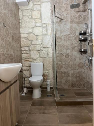 un bagno con wc e doccia in vetro di Sun & Stone House a Polykhrono