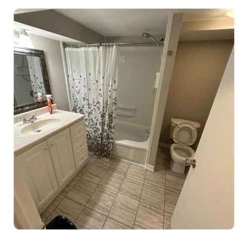 a bathroom with a shower and a sink and a toilet at Cozy room at walkout basement in Pickering